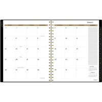 Radiate Weekly/monthly Planner, Stylized Solar-eclipse Artwork, 11 X 9.25, Black/gold Cover, 12-month (jan To Dec): 2025