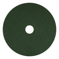 Scrubbing Pads, 13", Green, 5/carton