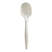 Mediumweight Wrapped Polypropylene Cutlery, Soup Spoon, White, 1,000/carton