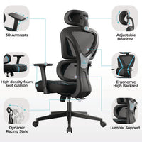 Norn Ergonomic Chair, Supports Up To 275 Lb, 18.11" To 22.04" Seat Height, Black/blue Mesh Seat/back, Black Base