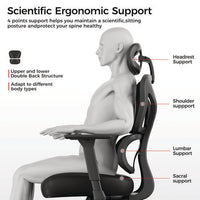 Norn Ergonomic Chair, Supports Up To 275 Lb, 18.11" To 22.04" Seat Height, Black/gray Mesh Seat/back, Black Base