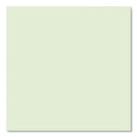 Boardroom Series Steno Pad, Gregg Ruled, Brown Cover, 80 Green 6 X 9 Sheets, 72 Pads/carton, Ships In 4-6 Business Days