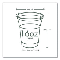 96-series Cold Cup, 16 Oz, Clear/green, 1,000/carton