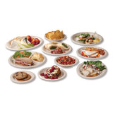 Nourish Molded Fiber Takeout Containers, Compostable, 5.9 X 5.9 X 2.9, White, Sugarcane, 400/carton