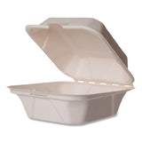 Nourish Molded Fiber Takeout Containers, Compostable, 5.9 X 5.9 X 2.9, White, Sugarcane, 400/carton