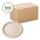 Nourish Molded Fiber Tableware, Compostable, Platter, Sugarcane, 8 X 10, White, 500/carton