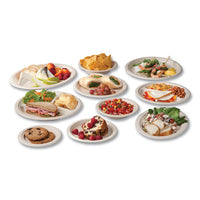 Molded Fiber Tableware, Plate, 9" Diameter, White, 500/carton