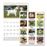 Puppies Monthly Wall Calendar, 15.5 X 22.75, 2021