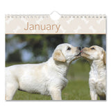 Puppies Monthly Wall Calendar, 15.5 X 22.75, 2021