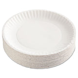 Coated Paper Plates, 9 Inches, White, Round, 100-pack