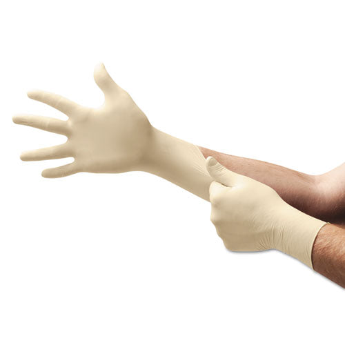 Xt Premium Latex Disposable Gloves, Powder-free, Medium, 100-box