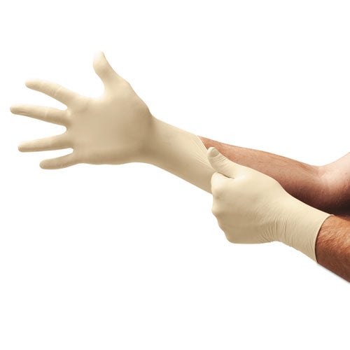 Xt Premium Latex Disposable Gloves, Powder-free, Small, 100-box