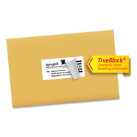 Shipping Labels W- Trueblock Technology, Inkjet Printers, 2 X 4, White, 10-sheet, 10 Sheets-pack