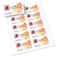 True Print Clean Edge Business Cards, Inkjet, 2 X 3 1-2, White, 200-pack