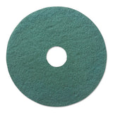 Heavy-duty Scrubbing Floor Pads, 13" Diameter, Green, 5-carton