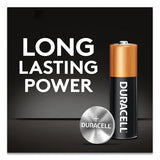 Specialty Alkaline Battery, 21-23, 12v