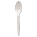 Plastic Cutlery, Heavy Mediumweight Teaspoons, White, 1,000-carton