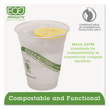 Greenstripe Renewable & Compostable Cold Cups - 12oz., 50-pk, 20 Pk-ct