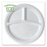 Vanguard Renewable And Compostable Sugarcane Plates, 9", White, 500-carton
