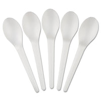 Plantware Compostable Cutlery, Spoon, 6", Pearl White, 50-pack, 20 Pack-carton