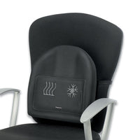 Climate Control Back Rest, 14.5w X 3d X 13.63h, Black