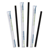 Aardvark Paper Straws, 5.75", Black, 3,200-carton