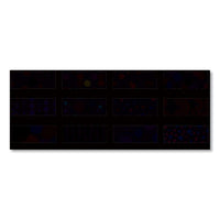 100% Recycled Bubbleluxe Wall Calendar, 12 X 12, 2021