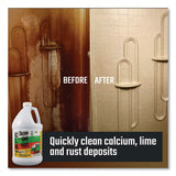 Calcium, Lime And Rust Remover, 1 Gal Bottle