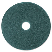 Cleaner Floor Pad 5300, 17" Diameter, Blue, 5-carton