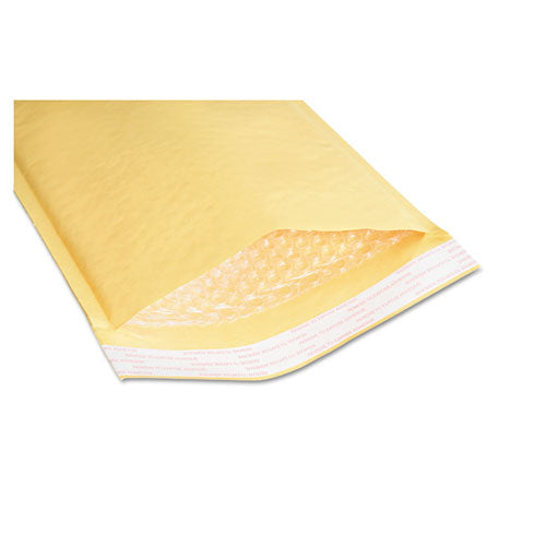 8105001179869,envelpe,lbr