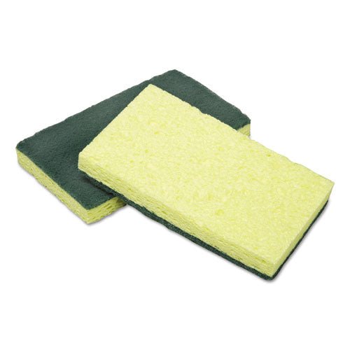 7920016634340,sponge,cell