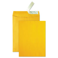 High Bulk Redi-strip Catalog Envelope, #13 1-2, Cheese Blade Flap, Redi-strip Closure, 10 X 13, Brown Kraft, 250-carton
