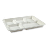 Bagasse Pfas-free Food Tray, 5-compartment, 8.26 X 10.23 X 0.94, White, Bamboo/sugarcane, 500/carton