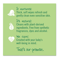 Free & Clear Baby Wipes, Refill, Unscented, White, 256-pk, 3 Pk-ct