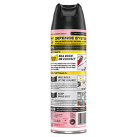 Fragrance Free Ant And Roach Killer, 17.5oz Aerosol Can