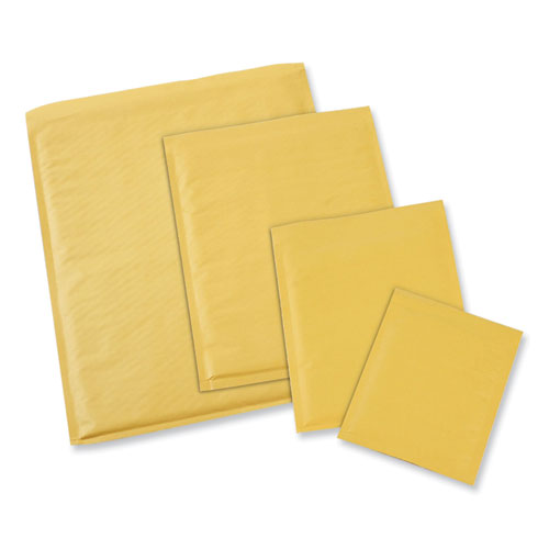 Peel Seal Strip Cushioned Mailer, #6, Extension Flap, Self-adhesive Closure, 12.5 X 19, 50-carton