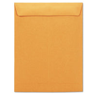 Catalog Envelope, #13 1-2, Square Flap, Gummed Closure, 10 X 13, Brown Kraft, 250-box