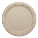 Fiber Plates, Plate, 10.1" Diameter, Natural, 800/carton