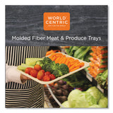 Fiber Trays, Pla Lined, Pfas Free, 18 X 14 X 1, Natural, 100-carton