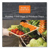 Fiber Trays, Pla Lined, Pfas Free, 9.1 X 7.1 X 0.7, Natural, 500-carton