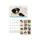 Puppies Monthly Wall Calendar, 15.5 X 22.75, 2021