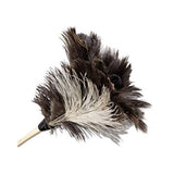 Professional Ostrich Feather Duster, 7" Handle