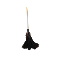 Professional Ostrich Feather Duster, 16" Handle