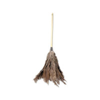 Professional Ostrich Feather Duster, 16" Handle