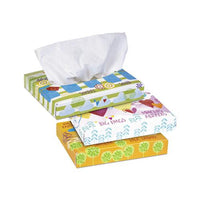 White Facial Tissue Junior Pack, 2-ply, 40 Sheets-box, 80 Boxes-carton