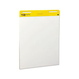 Self-stick Easel Pads, 25 X 30, White, 30 Sheets, 2-carton