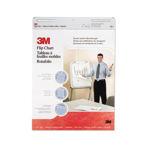 Professional Flip Chart, 25 X 30, White, 40 Sheets, 2-carton