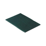 Commercial Scouring Pad, 6 X 9, 10-pack