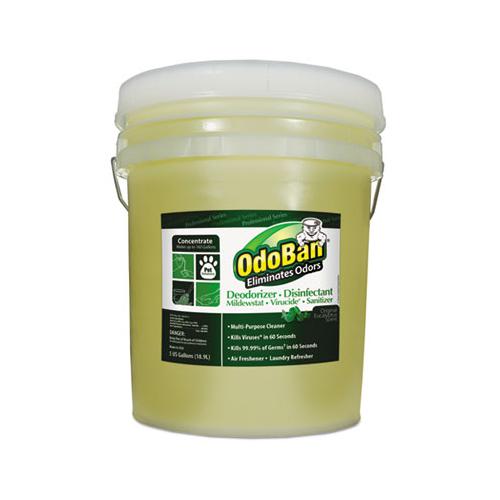 Concentrated Odor Eliminator And Disinfectant, Eucalyptus, 5 Gal Pail